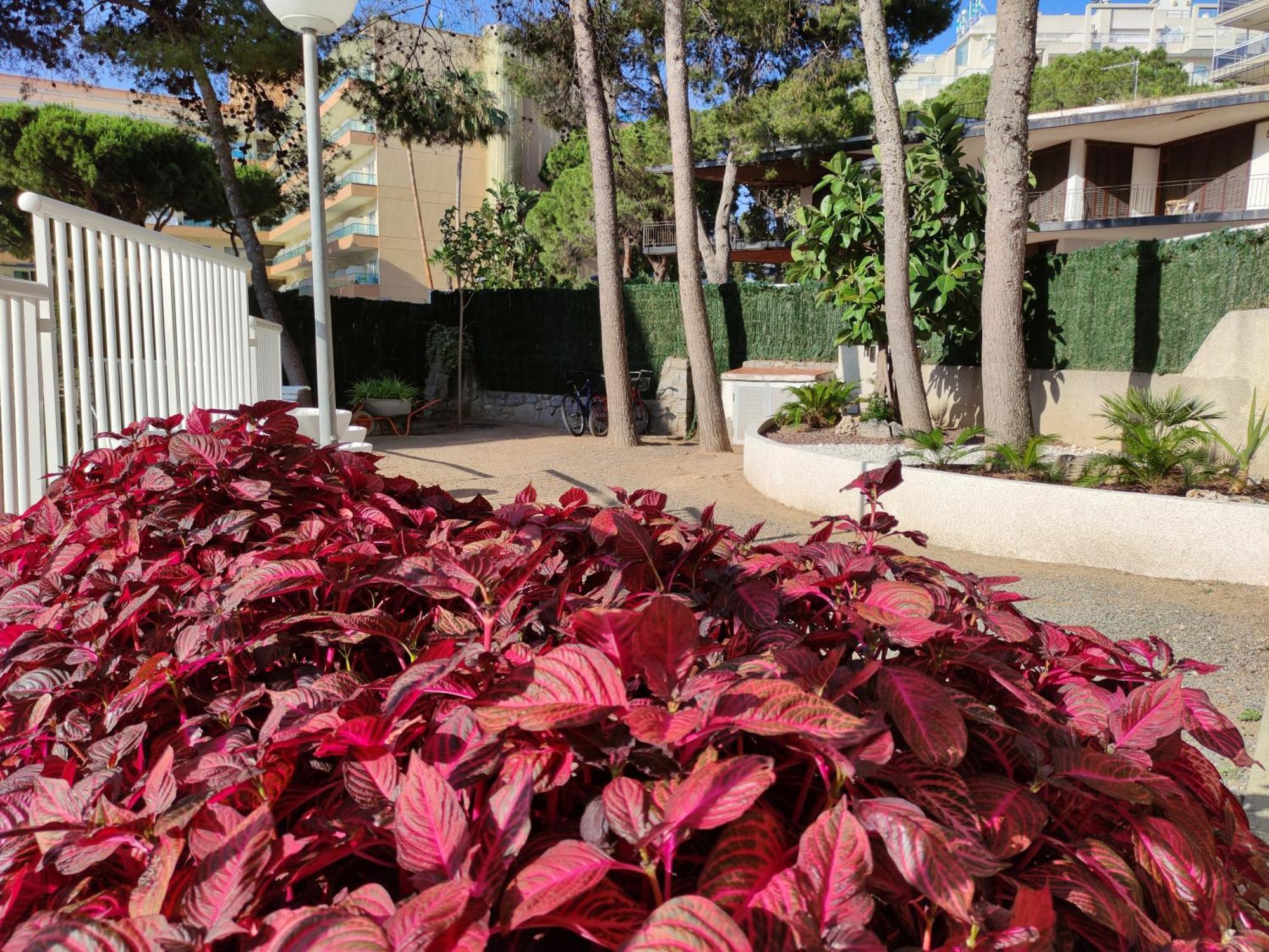 Paradis Salou, Centro Turistico, Wifi, Piscina, Vistas Al Mar Exterior photo